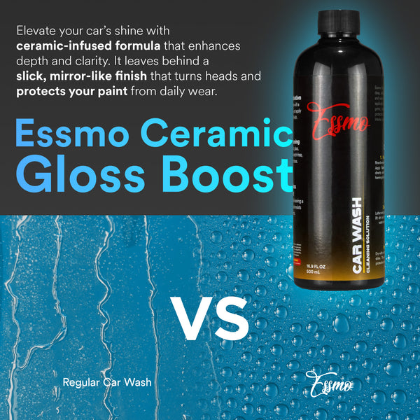ESSMO Car Wash Concentrate 1:100