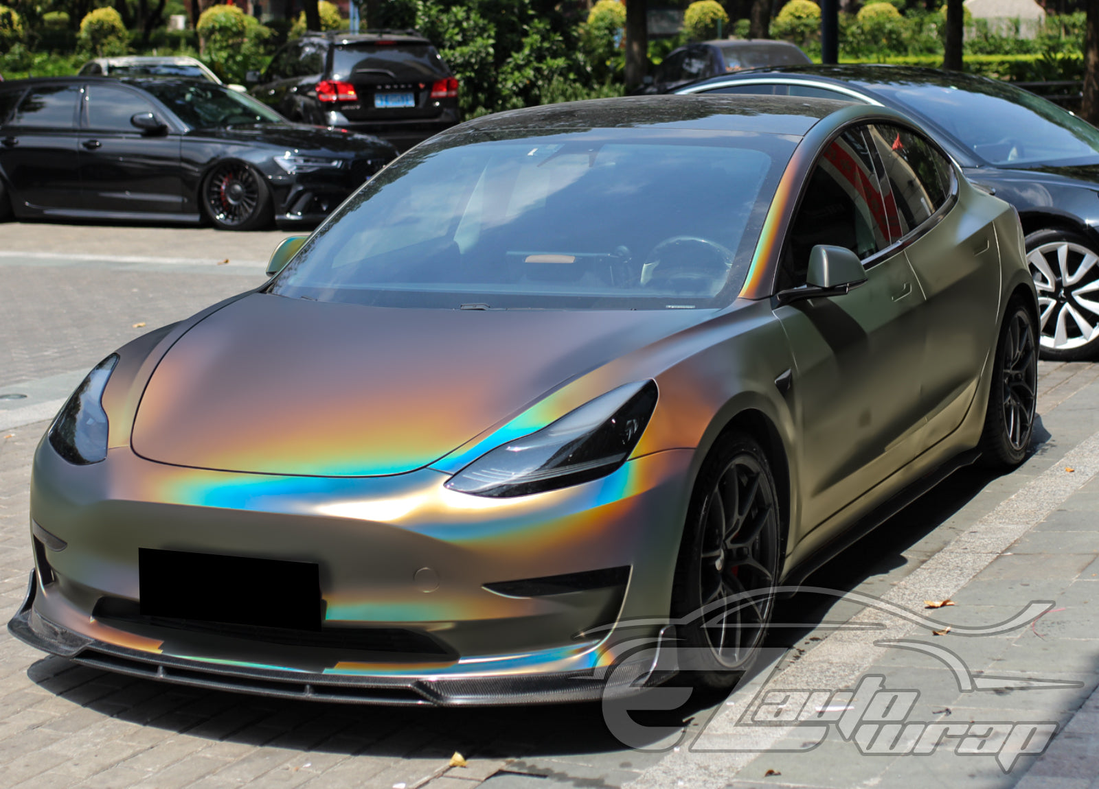 10053LFS-RAINBOW-